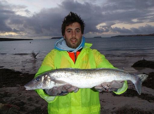 The mother af all KG whiting?